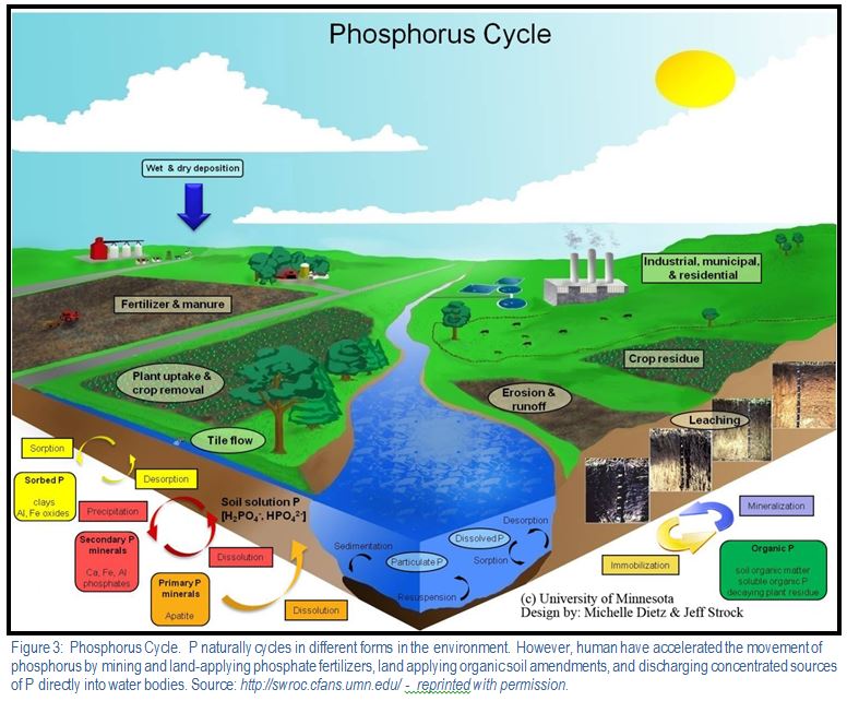 WEF Phosphorus in Biosolids Fact Sheet